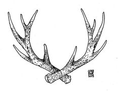 an ink drawing of a deer's antlers with chinese characters on the back