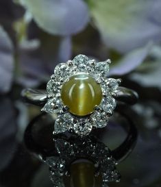 a close up of a ring on a table with flowers in the background