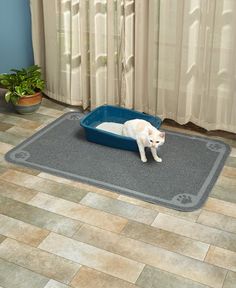 a cat laying in a litter box on the floor