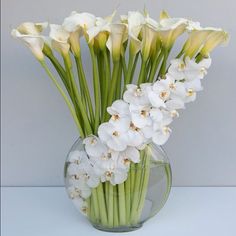 a vase filled with white flowers on top of a table