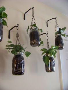 four hanging mason jars with plants in them