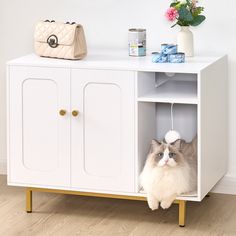 a cat sitting on top of a white cabinet