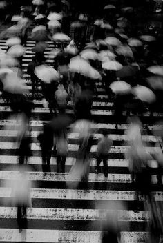 many people with umbrellas crossing the street