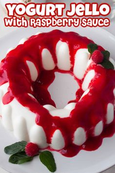 Overhead view of Jello Yogurt with Raspberry Sauce. Jello Yogurt Recipes, Yogurt Jello Recipe, Yogurt Jello, Vegan Jello, Easy Fruit Salad Recipes, No Bake Cherry Cheesecake