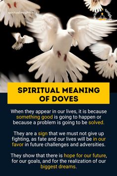 a poster with white doves flying in the air and text that reads, spirital meaning of doves