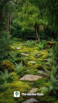 a garden with green moss growing on the ground and trees in the backgroud