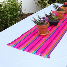 three potted plants are sitting on a table with a pink and blue striped runner