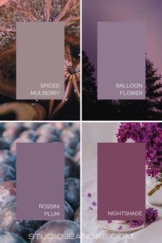 four different shades of purple and pink