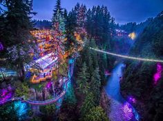 an aerial view of a river and trees at night with lights in the forest around it