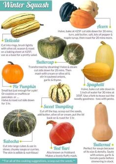 an image of different types of squash