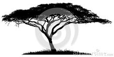 an african tree silhouetted against a white background