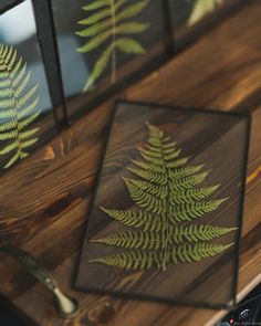 three glass frames with green fern leaves on them sitting on a wooden table next to a knife and fork