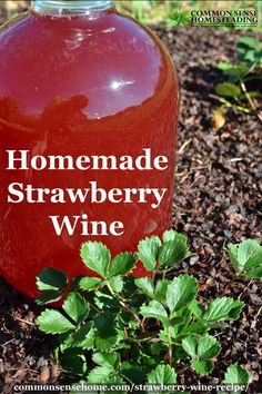 a bottle of homemade strawberry wine sitting on the ground next to some plants and dirt