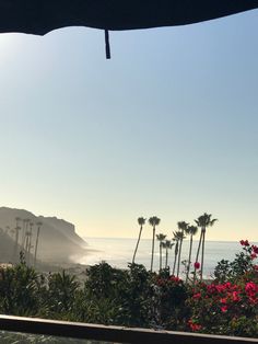 the sun is shining on some palm trees and flowers by the water's edge