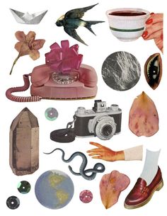 collage of various objects including an old phone, bird, camera and other items