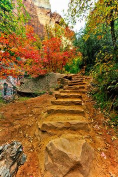 steps lead up to the top of a steep cliff in autumn with colorful trees around