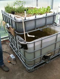 two metal containers filled with water and plants