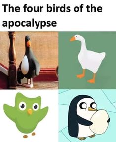 the four birds of the apocatypse are all different colors and sizes,