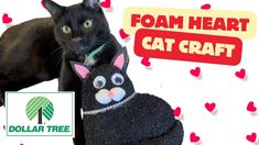 a black cat laying on top of a stuffed animal next to a sign that says foam heart cat craft