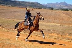 a man riding on the back of a brown horse across a dry grass covered field