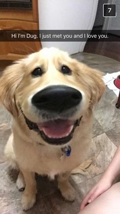 a close up of a dog sitting on the floor near a person's legs