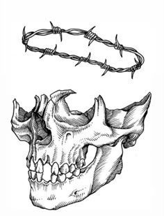 a drawing of a skull with barbed wire around it's neck and the top part of its head