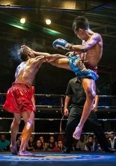 Muay Thai, High Kick Martial Arts Photography, Muay Boran, Muay Thai Martial Arts, Boxe Thai, Action Pose Reference, Thai Boxing, Pencak Silat, Martial Arts Techniques, Combat Art