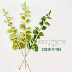 a bunch of green leaves on top of a white background with the words eucalyptus than crochet pattern