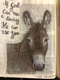 an open bible with a drawing of a donkey on it's side and the words if god cares a donkey, he can use you