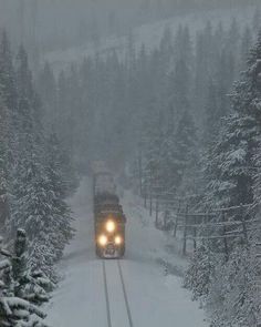 a train traveling through a forest covered in snow with headlights shining on the front and side