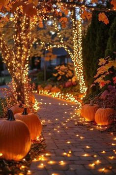 pumpkins are lit up on the walkway in front of trees with lights all around them