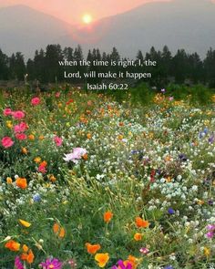 a field full of flowers with the sun setting in the background and a bible verse on it