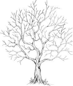 a drawing of a tree with no leaves