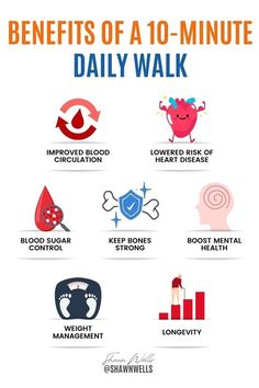 The benefits of walking daily are often underestimated. Just 10 minutes of walking exercise each day can enhance both physical and mental health, from better heart health to sharper focus. Read the post to learn more daily walking benefits! | How to Live Healthy Biohacking Technology, Walking Benefits, Benefits Of Walking Daily, Walking Daily, Health Benefits Of Walking, Daily Walking, Environmental Research, Benefits Of Walking, Ways To Stay Healthy