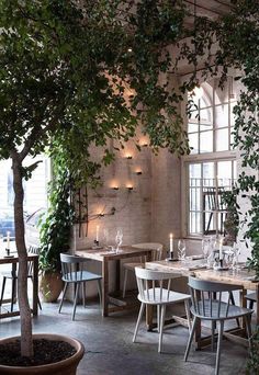 an indoor dining area with tables, chairs and potted plants on the wall behind them