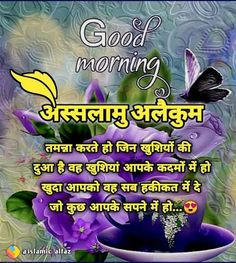 good morning in hindi with flowers and butterflies