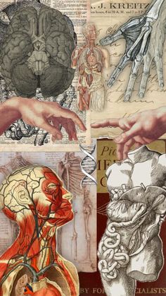 collage of human anatomy images and hands