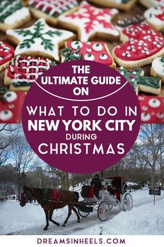 the ultimate guide on what to do in new york during christmas