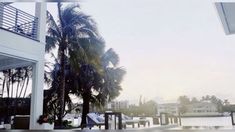 an empty swimming pool with palm trees in the foreground and buildings in the background