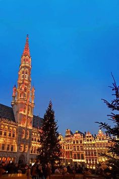 the christmas tree is lit up in front of an ornate building with lights on it