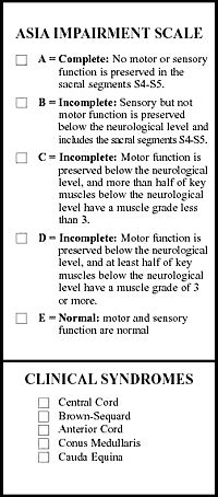 Figure 4. ASIA Impairment Scale and Clinical Syndromes. What Is Occupational Therapy, Occupational Therapy Quotes, Occupational Therapy Shirts, Occupational Therapy Activities