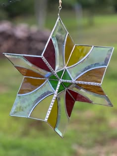 a stained glass star ornament hanging from a tree branch in front of a grassy field