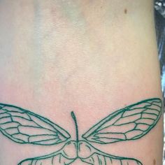 a small tattoo with a dragonfly on it's arm and the wings folded down