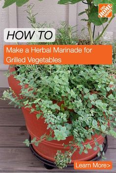 a potted plant with the title how to make a herb marinade for grilled vegetables