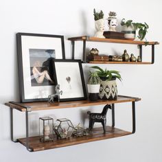 some shelves with pictures and plants on them