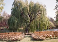 an outdoor ceremony set up with chairs under a large willow tree and flowers in the foreground