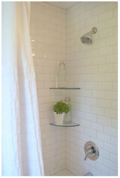 a white shower with shelves and plants in it