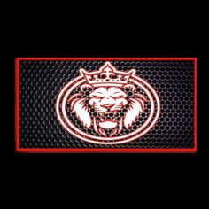 the chicago bulls logo is shown in red and black on a mesh background with an orange stripe