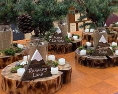 the tables are decorated with pine trees and candles