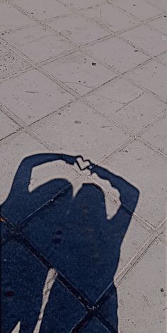 the shadow of a person is shown on the ground